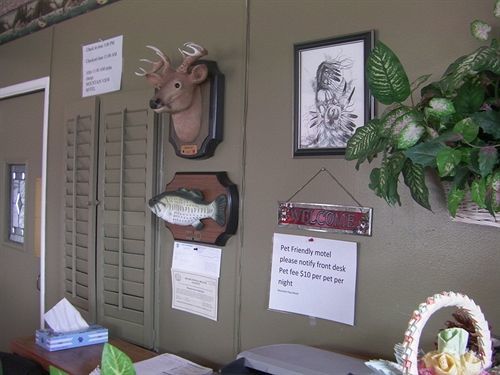 Mountain View Motel 3*